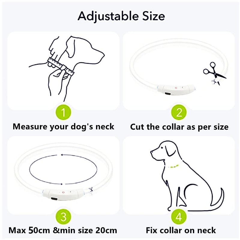 Adjustable LED Pet Collar Pet Collars & Harnesses Best Pet Store