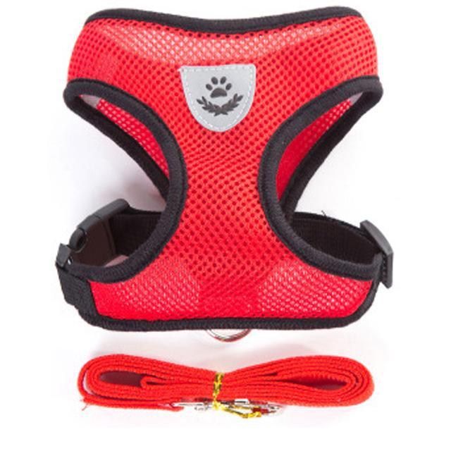 Cat Harness and Leash 7 Colours! Pet Collars & Harnesses Best Pet Store Red Small