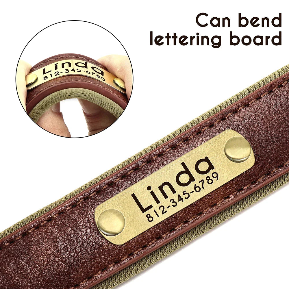 Customised Leather ID Nameplate Dog Collar Pet Collars & Harnesses Best Pet Store