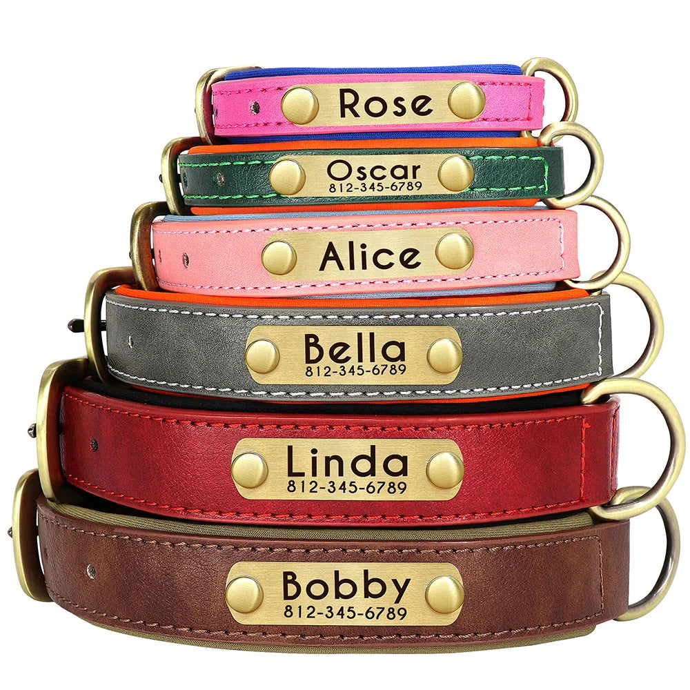 Customised Leather ID Nameplate Dog Collar Pet Collars & Harnesses Best Pet Store