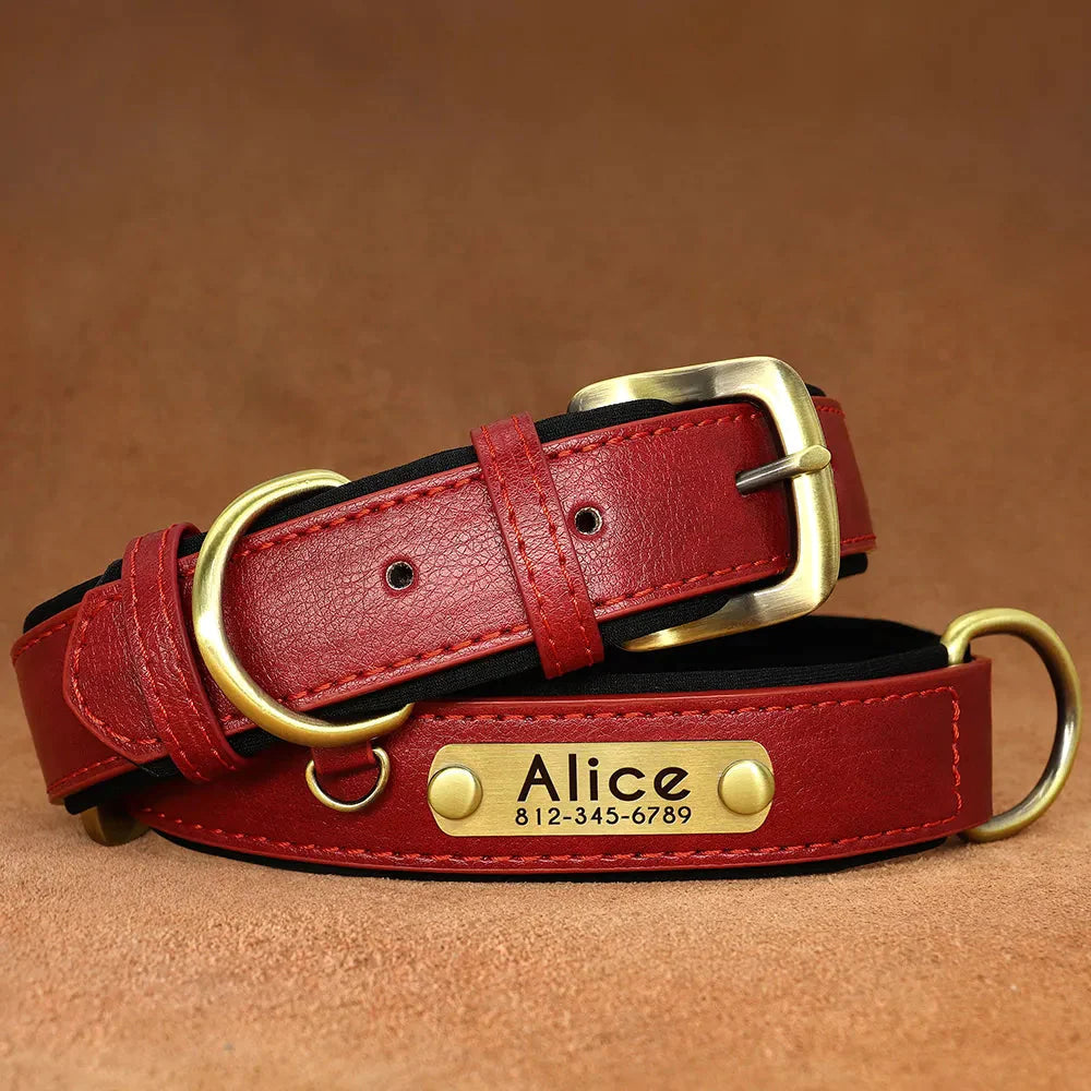 Customised Leather ID Nameplate Dog Collar Pet Collars & Harnesses Best Pet Store Red X Small