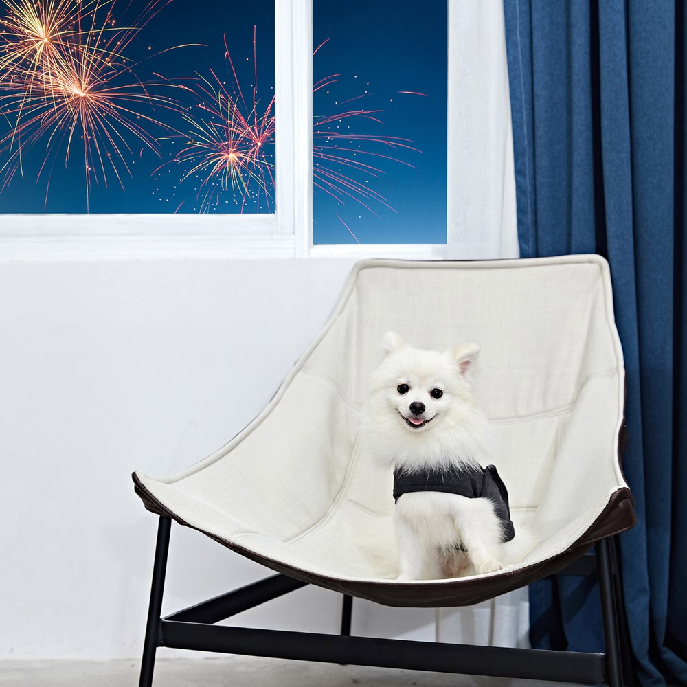 Dog Anxiety Busting Jacket Dog Apparel Best Pet Store