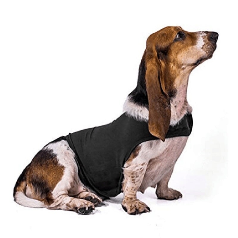 Dog Anxiety Busting Jacket Dog Apparel Best Pet Store Grey X Small 4.5 - 9Kg
