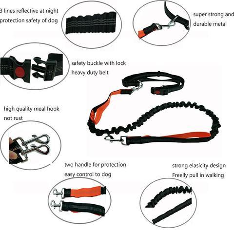 Handsfree Running Bungee Dog Leash Pet Leashes Best Pet Store
