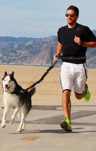 Handsfree Running Bungee Dog Leash Pet Leashes Best Pet Store