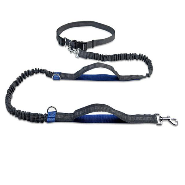 Handsfree Running Bungee Dog Leash Pet Leashes Best Pet Store Blue