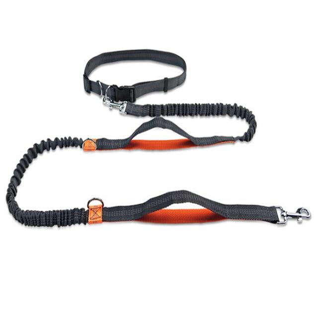 Handsfree Running Bungee Dog Leash Pet Leashes Best Pet Store Orange