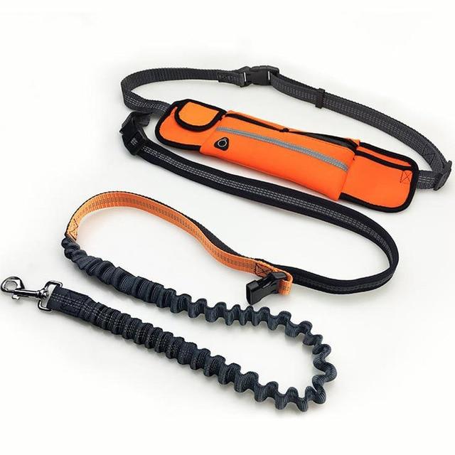 Handsfree Running Bungee Dog Leash With Pouch Pet Leashes Best Pet Store Orange