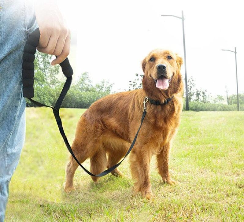 Long Nylon Dog Leash Up To 50m! Pet Leashes Best Pet Store