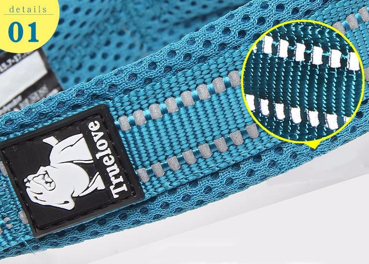 Reflective Mesh Padded Dog Collar Pet Collars & Harnesses Best Pet Store