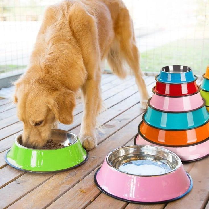 Stainless Steel Pet Food and Water Bowl 4 Colours! Pet Bowls, Feeders & Waterers Best Pet Store