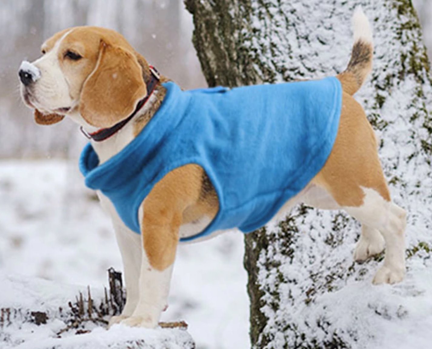 Warm Fleece Pet Coat Dog Apparel Best Pet Store
