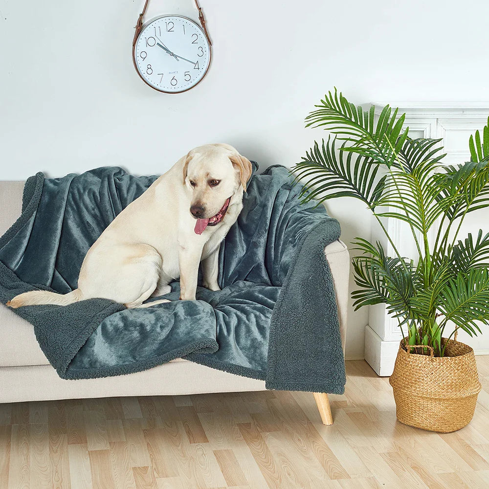 Waterproof Flannel Sofa and Bed Pet Blanket Dog Beds Best Pet Store