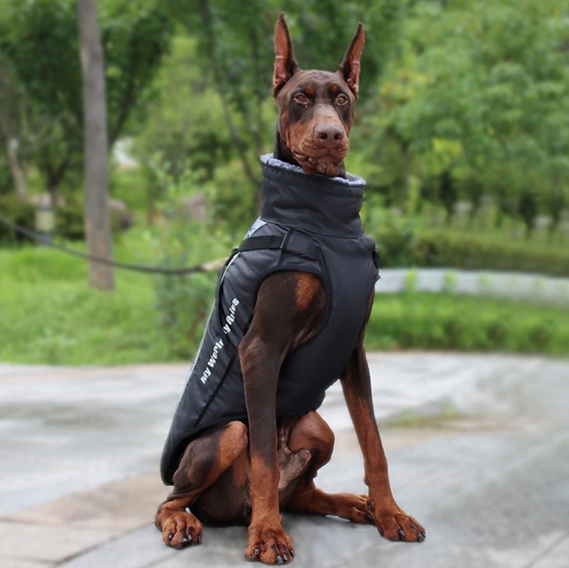 Waterproof Winter Thick Dog Coat With Harness Dog Apparel Best Pet Store