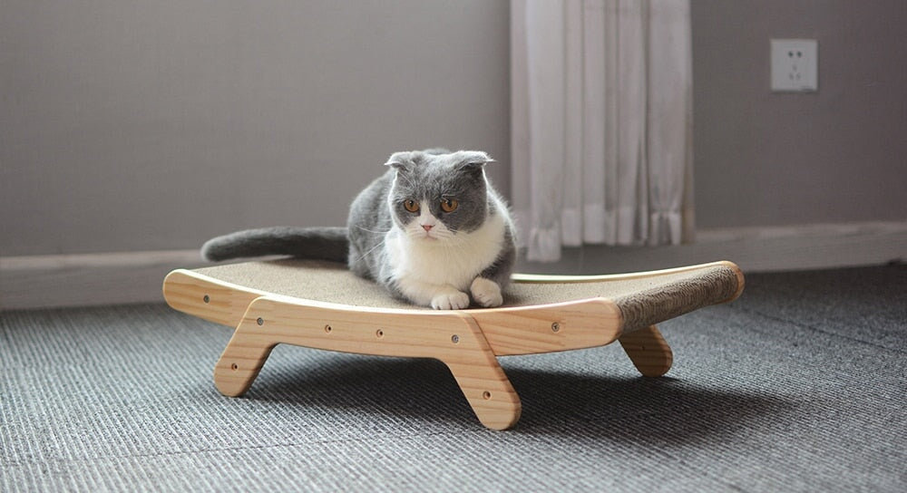 Wooden Cat Scratcher Bed Cat Furniture Best Pet Store