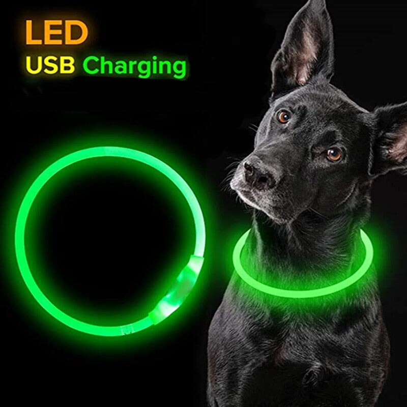 Best glow in 2024 the dark dog collar