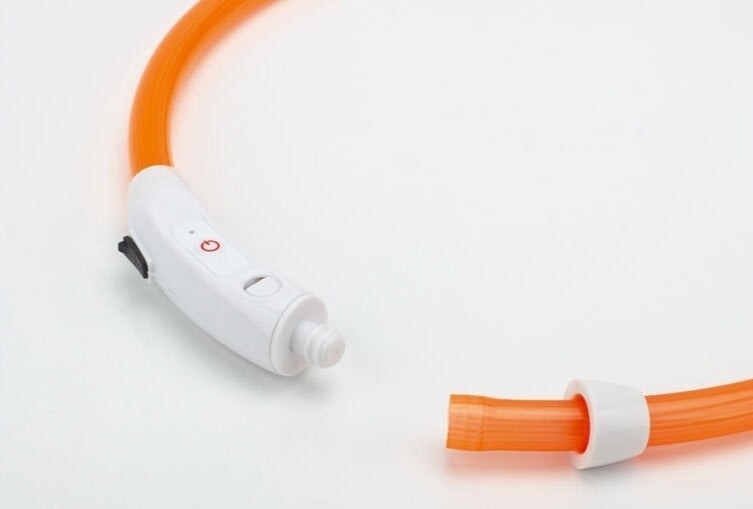 Adjustable LED Pet Collar Pet Collars & Harnesses Best Pet Store 