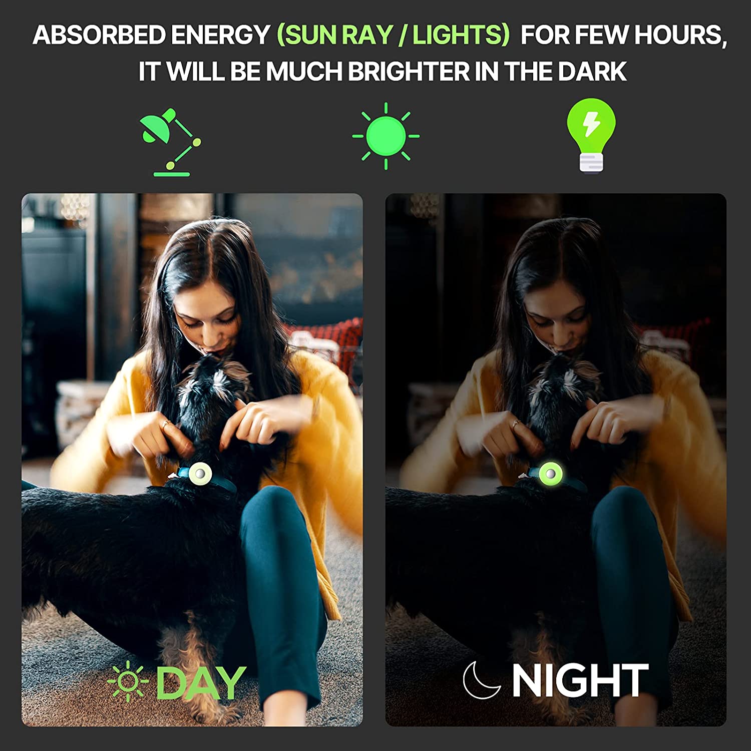 AirTag Pet Collar Silicone Protective Case ID Tags Best Pet Store 