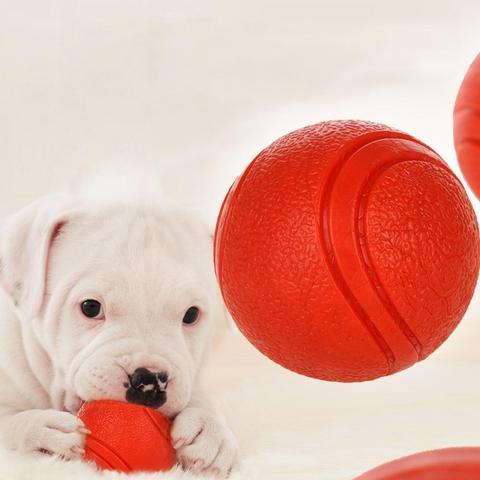 Bite Resistant Rubber Dog Ball Dog Toys Best Pet Store 