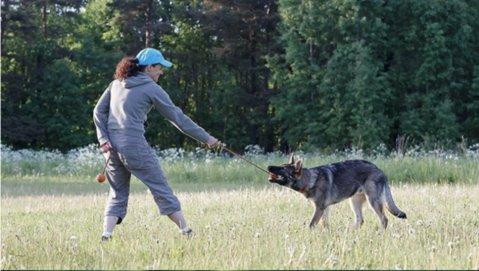 Bite Resistant Rubber Dog Ball on a Rope Dog Toys Best Pet Store 