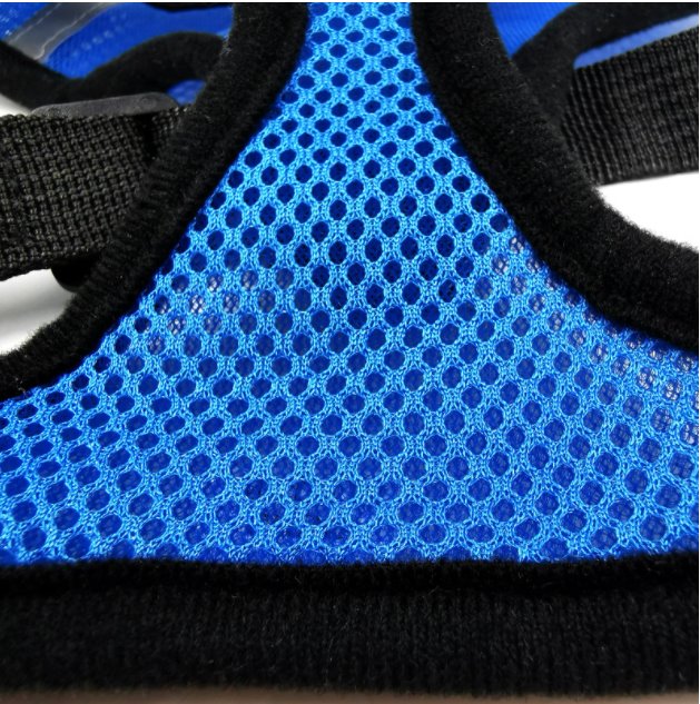 Cat Harness and Leash 7 Colours! Pet Collars & Harnesses Best Pet Store 