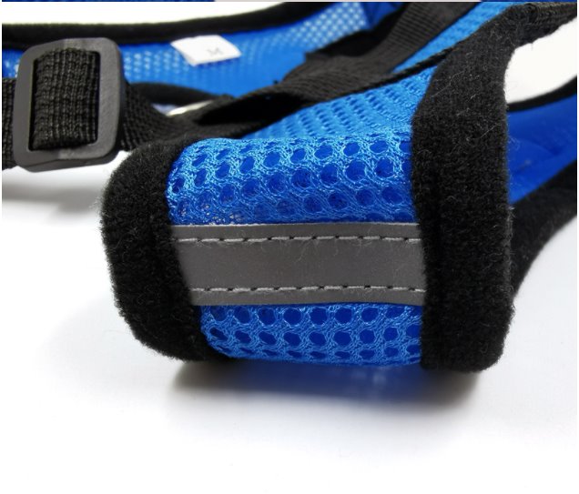 Cat Harness and Leash 7 Colours! Pet Collars & Harnesses Best Pet Store 