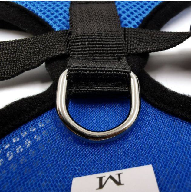 Cat Harness and Leash 7 Colours! Pet Collars & Harnesses Best Pet Store 