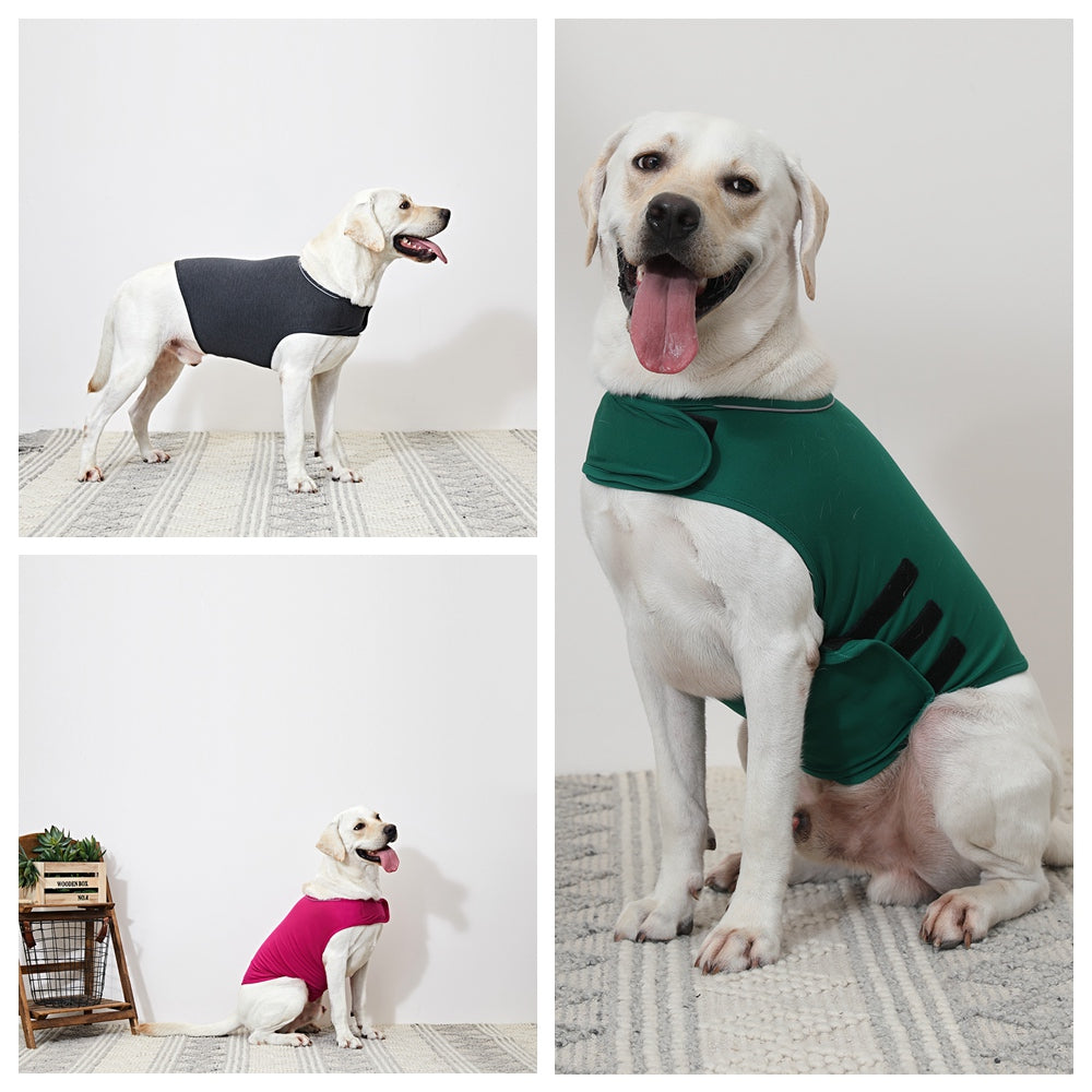 Dog Anxiety Busting Jacket Dog Apparel Best Pet Store 