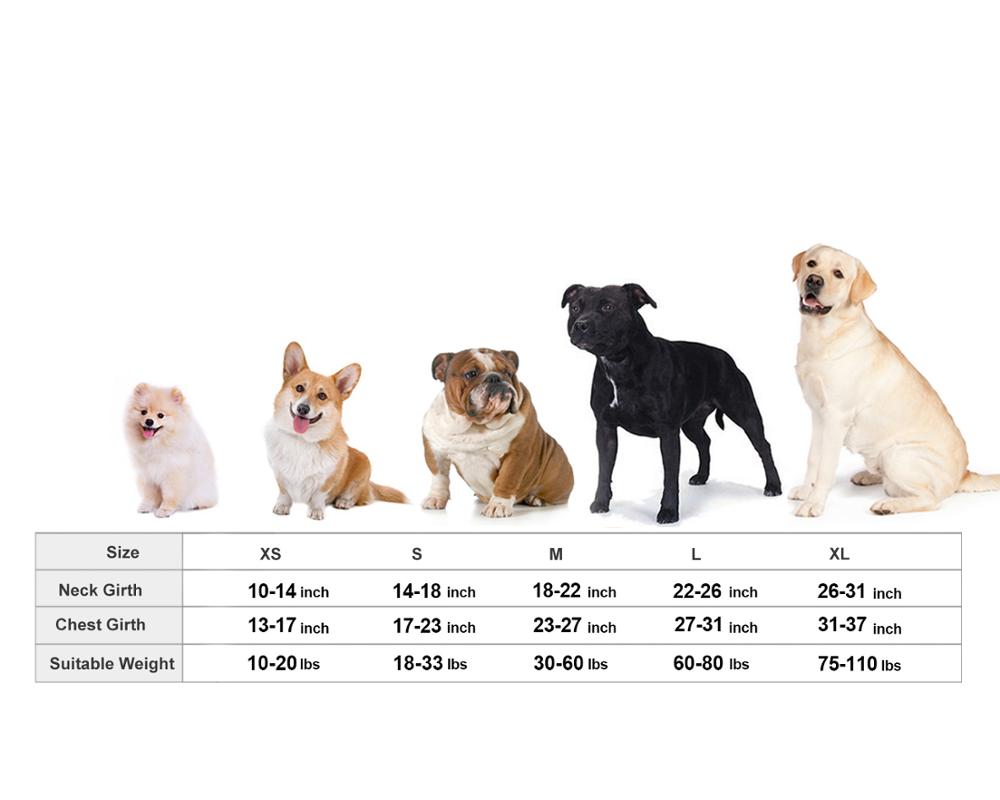 Dog Anxiety Busting Jacket Dog Apparel Best Pet Store 