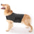 Dog Anxiety Busting Jacket Dog Apparel Best Pet Store 