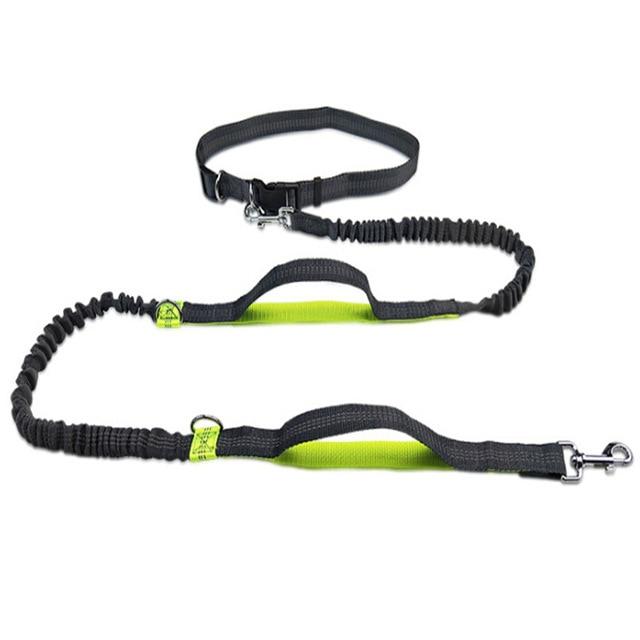 Best dog best sale leash for running