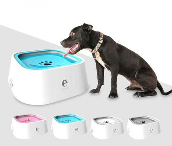 Best dog water bowls best sale