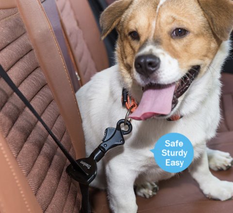 Pet Seatbelt Safety Buckle Best Pet Store