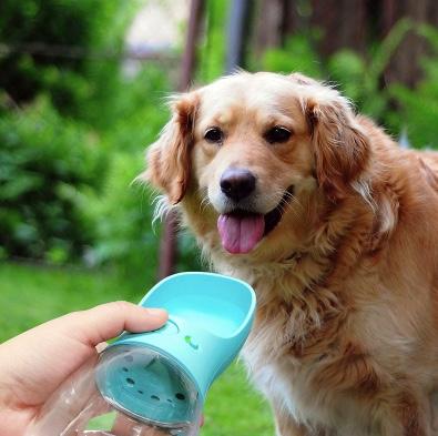 Portable dog drinking top bottle