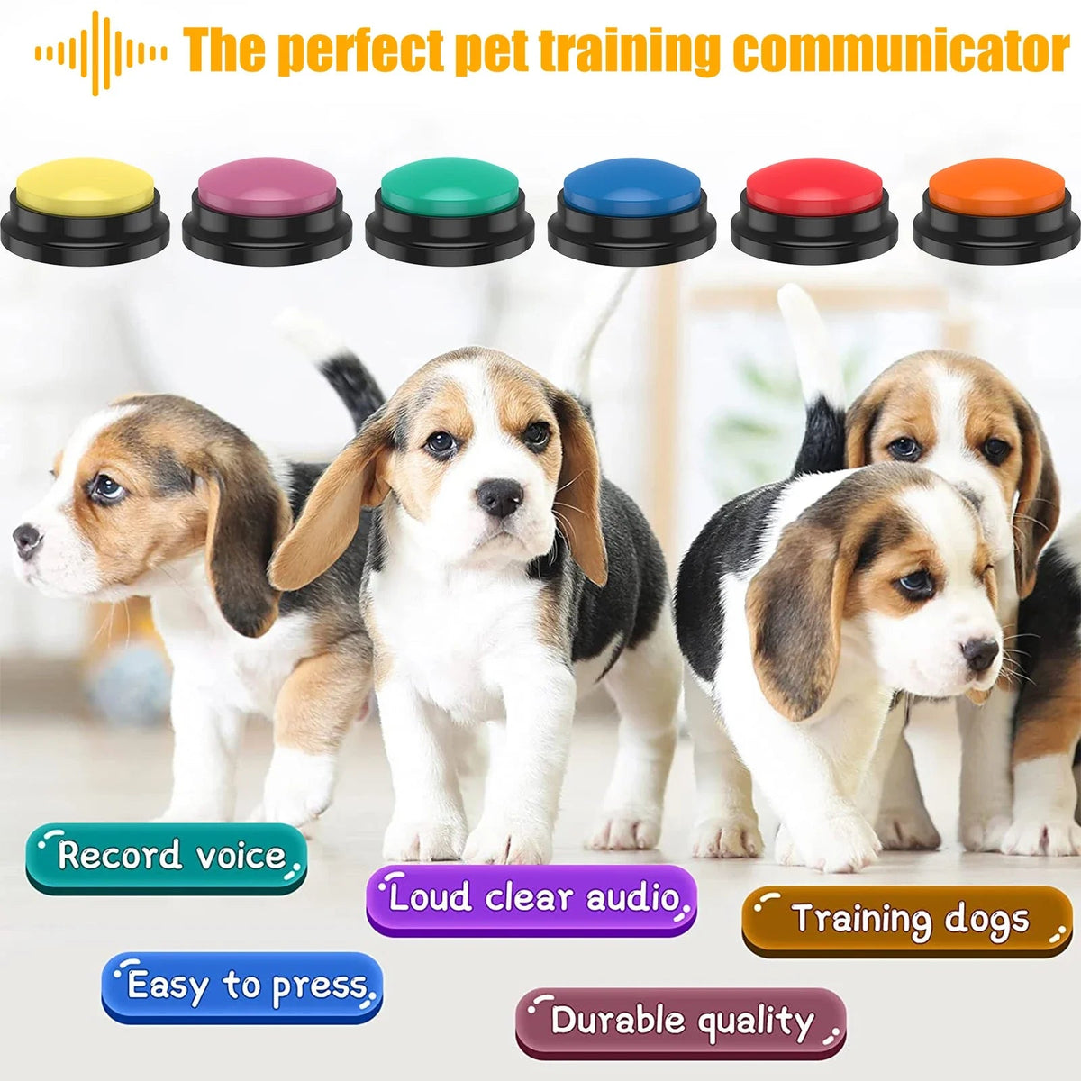 Recordable Dog Training Buttons Dog Toys Best Pet Store 