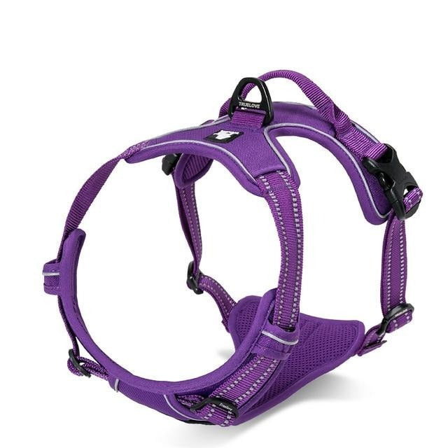 Front and back harness hotsell