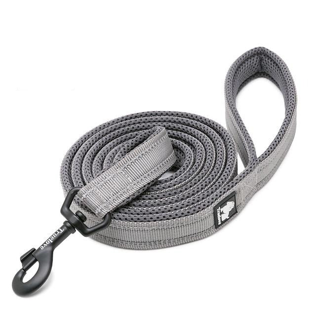 Reflective Heavy Duty Dog Leash Pet Leashes Best Pet Store Grey XS 1.0cmX200cm 