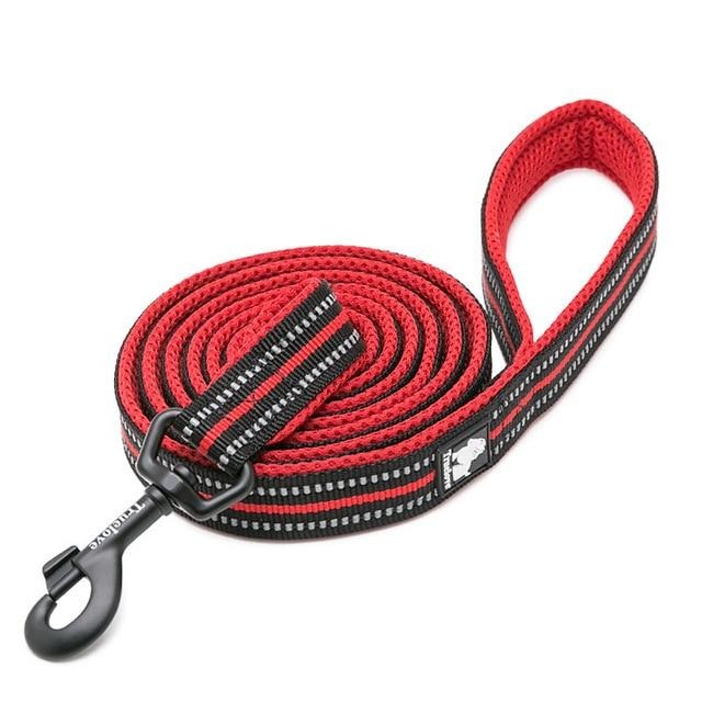 Reflective Heavy Duty Dog Leash Pet Leashes Best Pet Store Red XS 1.0cmX200cm 