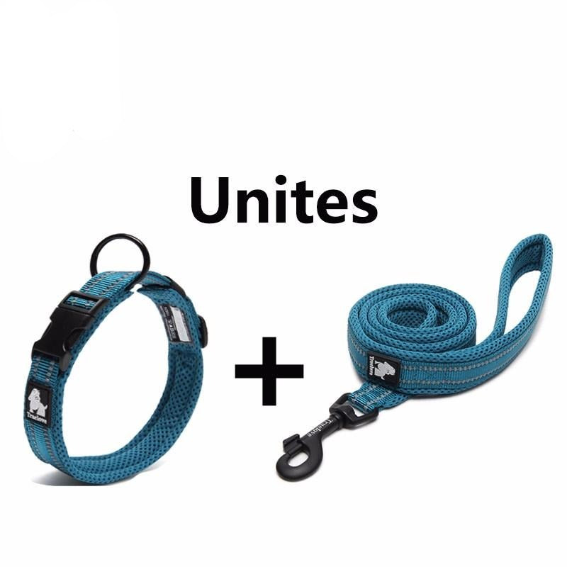 Reflective Mesh Padded Dog Collar Pet Collars & Harnesses Best Pet Store 