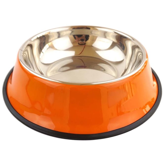 Metal dog water on sale bowl