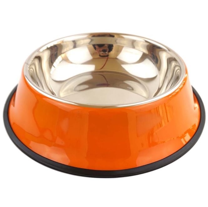 Stainless Steel Pet Food and Water Bowl 4 Colours! Pet Bowls, Feeders & Waterers Best Pet Store 