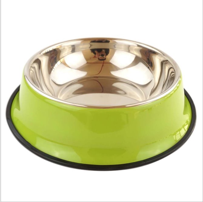 Stainless Steel Pet Food and Water Bowl 4 Colours! Pet Bowls, Feeders & Waterers Best Pet Store Green Small 