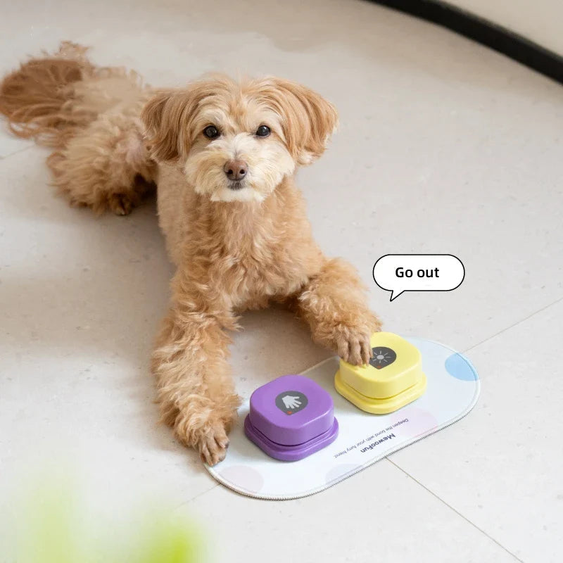 Voice Recording Buttons Dog Toy Dog Toys Best Pet Store 