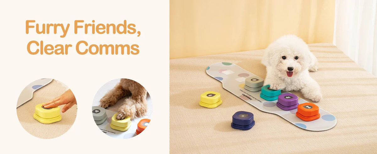 Voice Recording Buttons Dog Toy Dog Toys Best Pet Store 