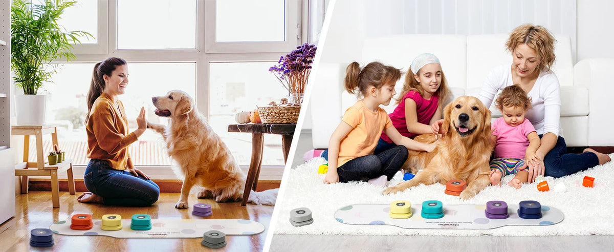 Voice Recording Buttons Dog Toy Dog Toys Best Pet Store 