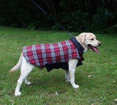 Waterproof Reversible Warm Fleece Dog Coat Dog Apparel Best Pet Store 