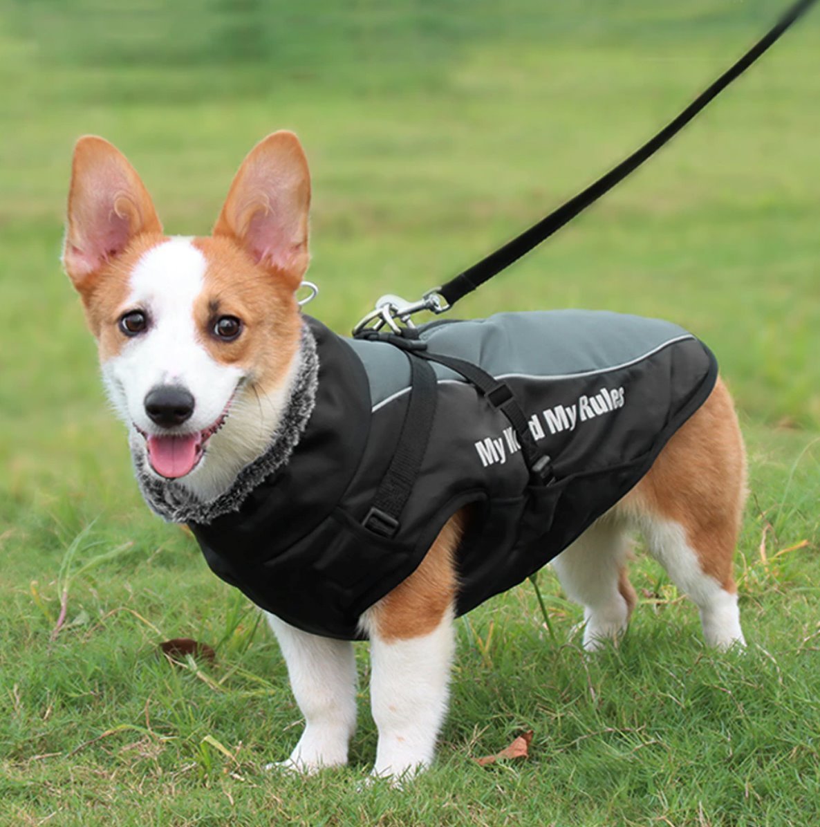 Waterproof Winter Thick Dog Coat With Harness Best Pet Store